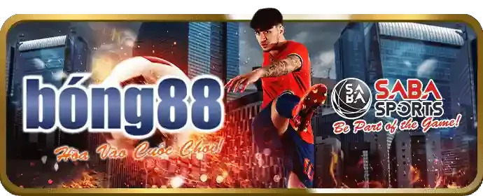 Các Giải Đấu Đặc Biệt